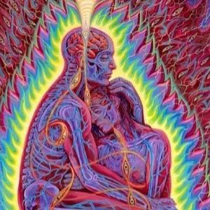 Meet your Posher, Lola